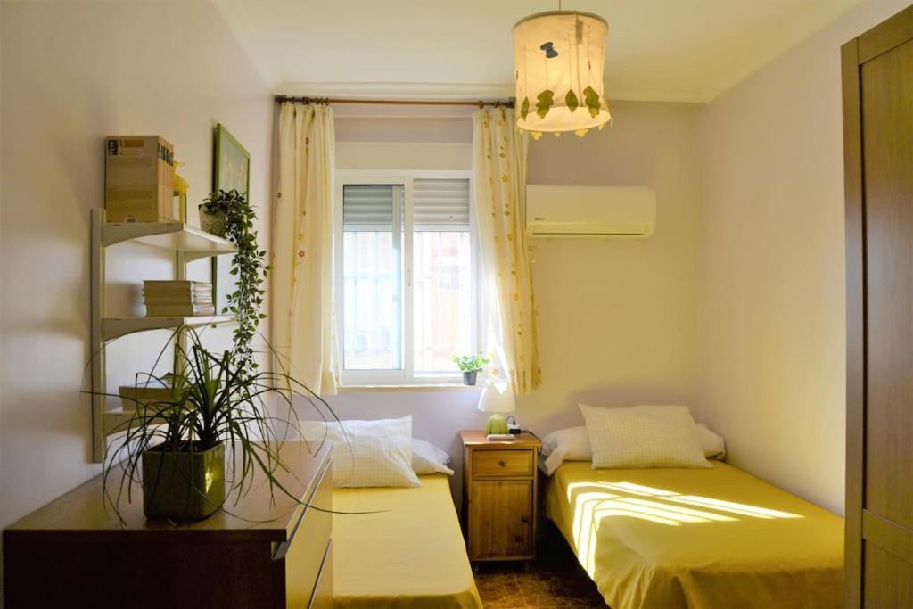El Apartamento De Trini Sevilla Bagian luar foto
